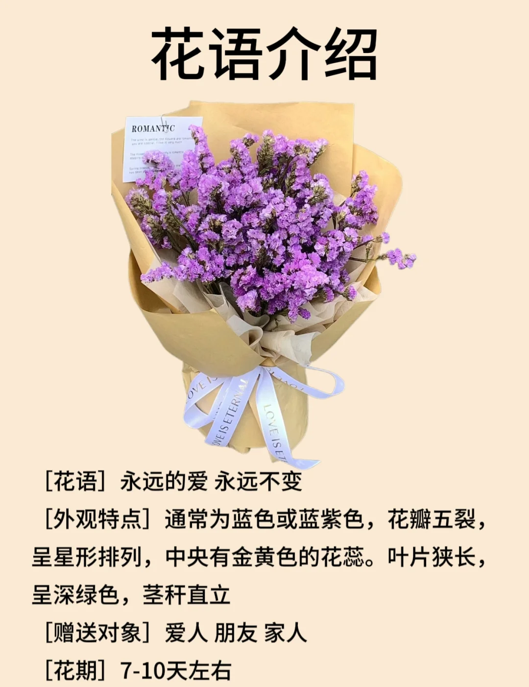 勿忘我
