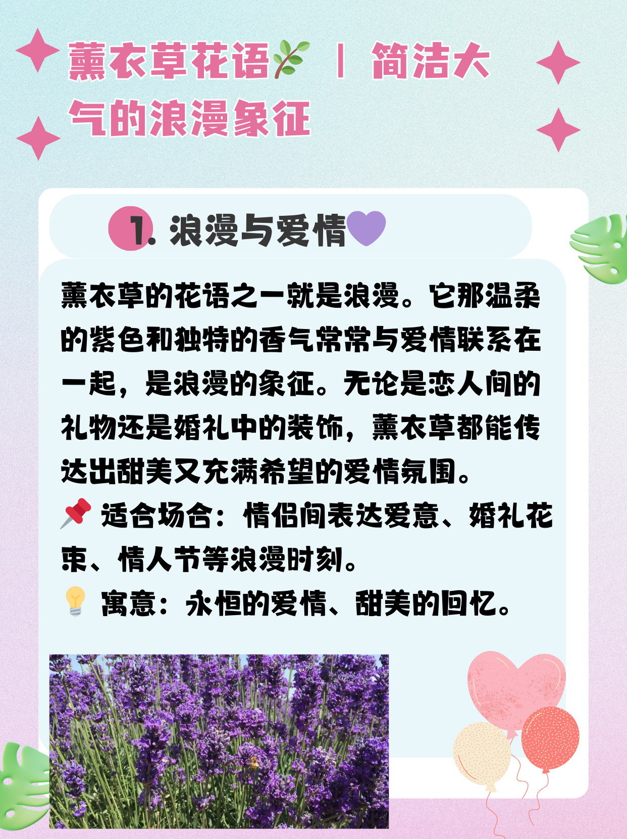 薰衣草